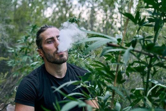 Jak vybrat vapo elektronická cigareta 2025 – praktický průvodce, recenze a tipy pro bezpečné užívání